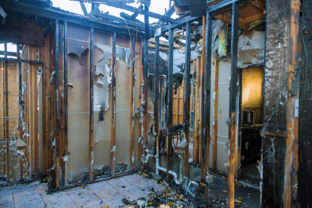 Professional Soot Cleanup technician working in Bradenton, FL